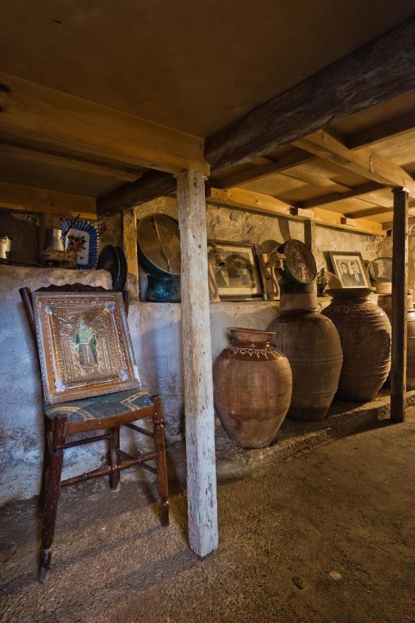 Traditional Karpathian House Menetaí Dış mekan fotoğraf